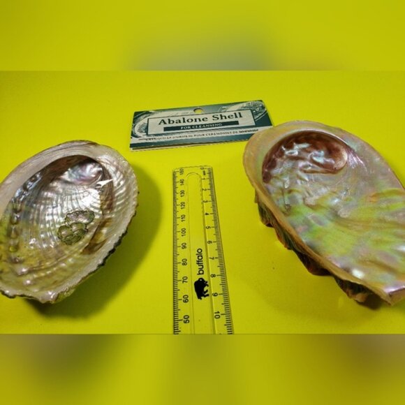 Abalone Shells Two For Cleansing Or Decor Ideas - Picture 6 of 12